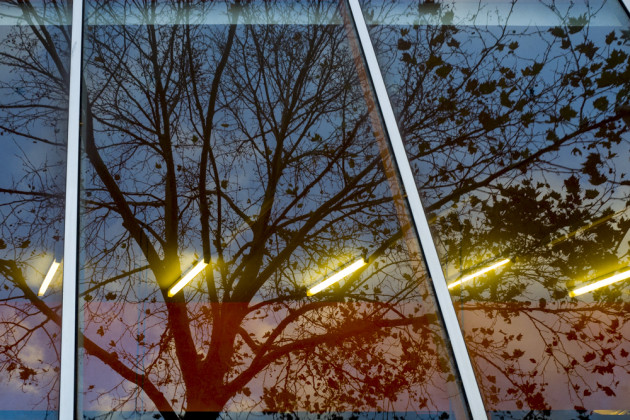 &copy; Jesse Marlow.